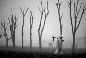 punjab farmer