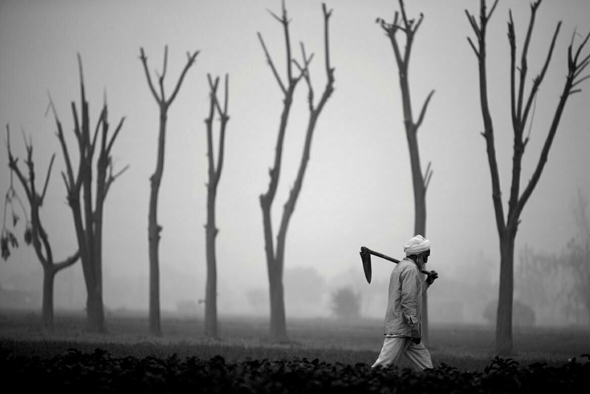 punjab farmer